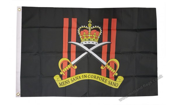 Army Physical Training Corps Flag